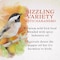 Global Harvest Foods Songbird Selections Wild Bird Seed Wild Bird Food 10 lb 13637 - alternate 8